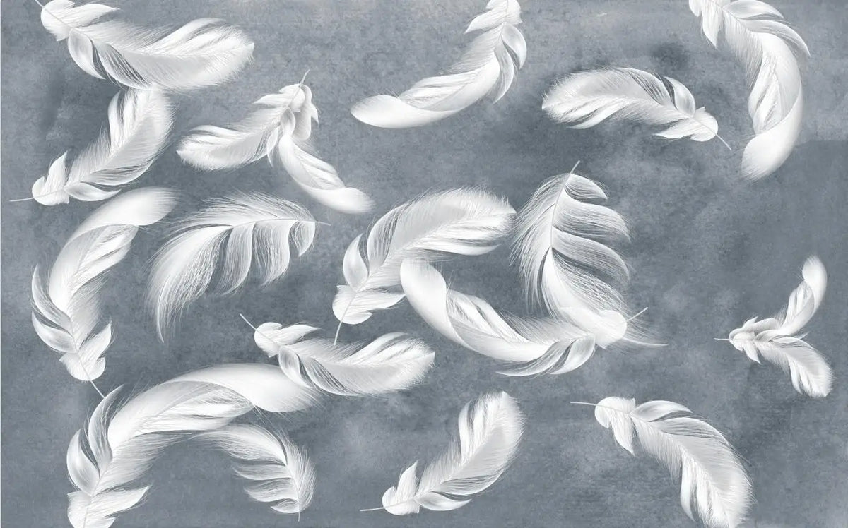 Papier Peint Plumes — 7 Motifs au Choix