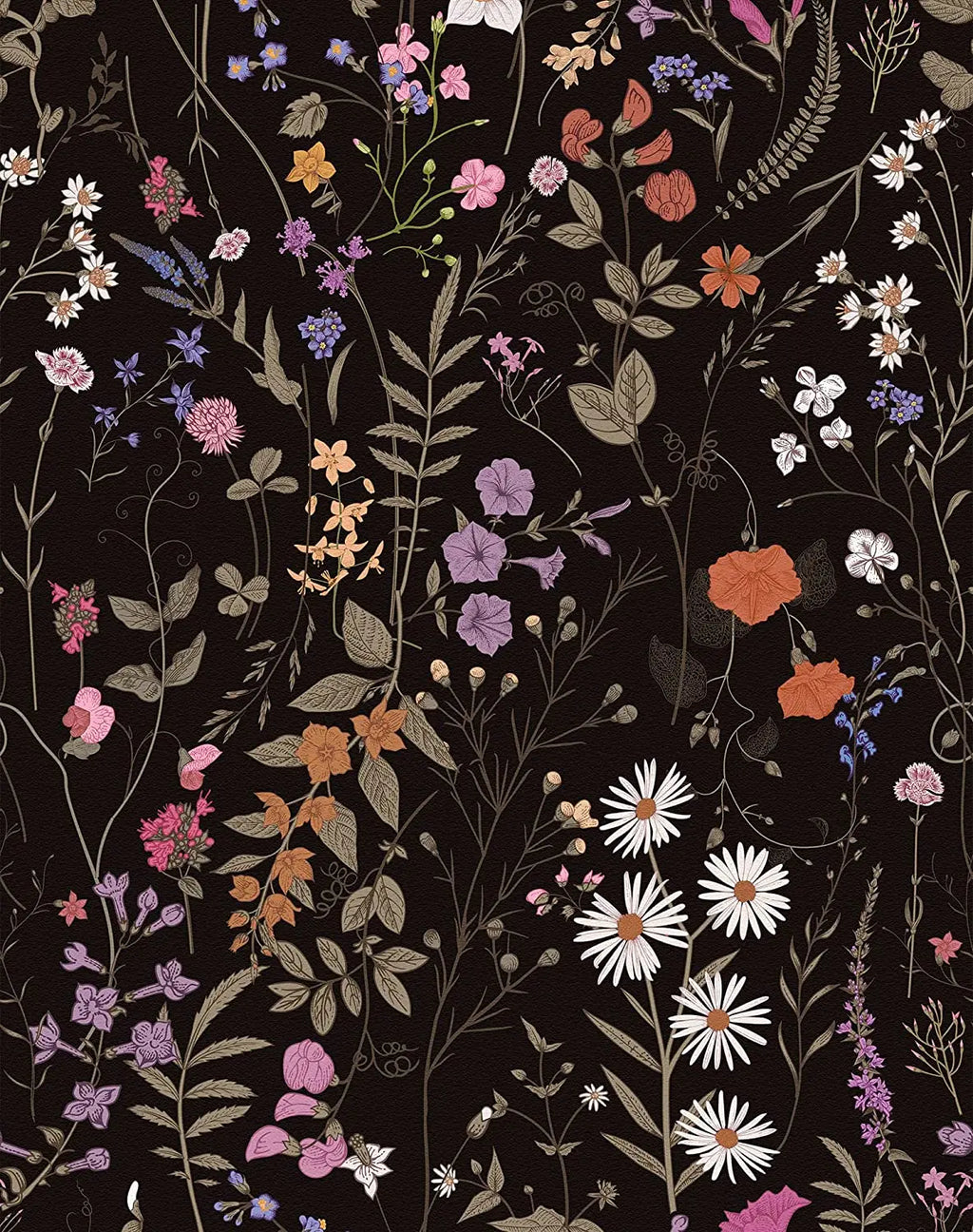 Papier Peint Fleurs des Champs — Fond Crème ou Noir