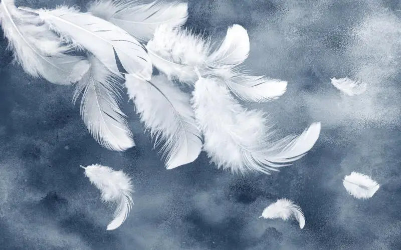 Papier Peint Plumes — 7 Motifs au Choix